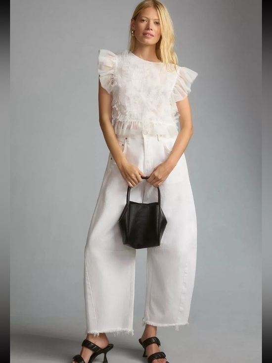 Anthropologie Tops - Anthropologie Maeve ruffle mesh top size XL